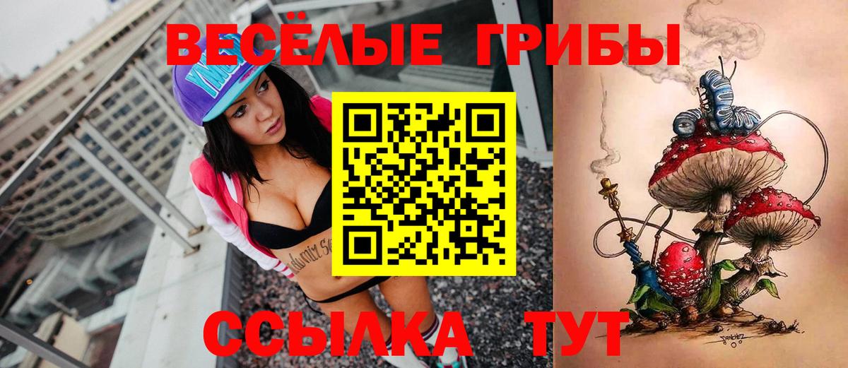 Псилоцибиновые грибы мицелий Избербаш